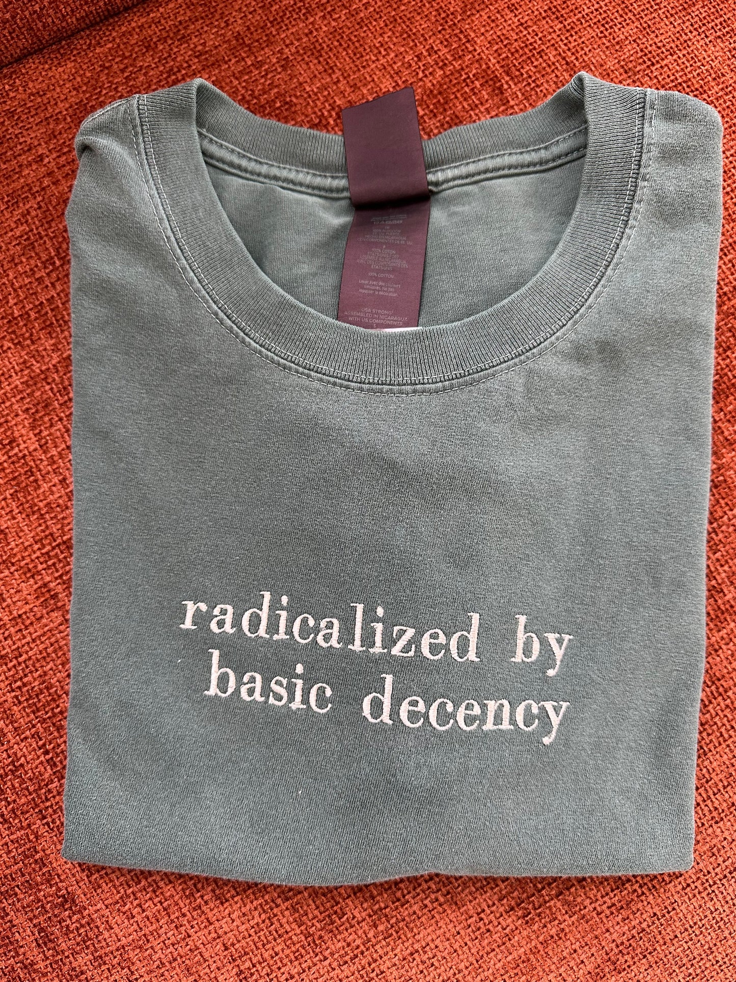 Radicalized By Basic Decency Embroidered Tshirt