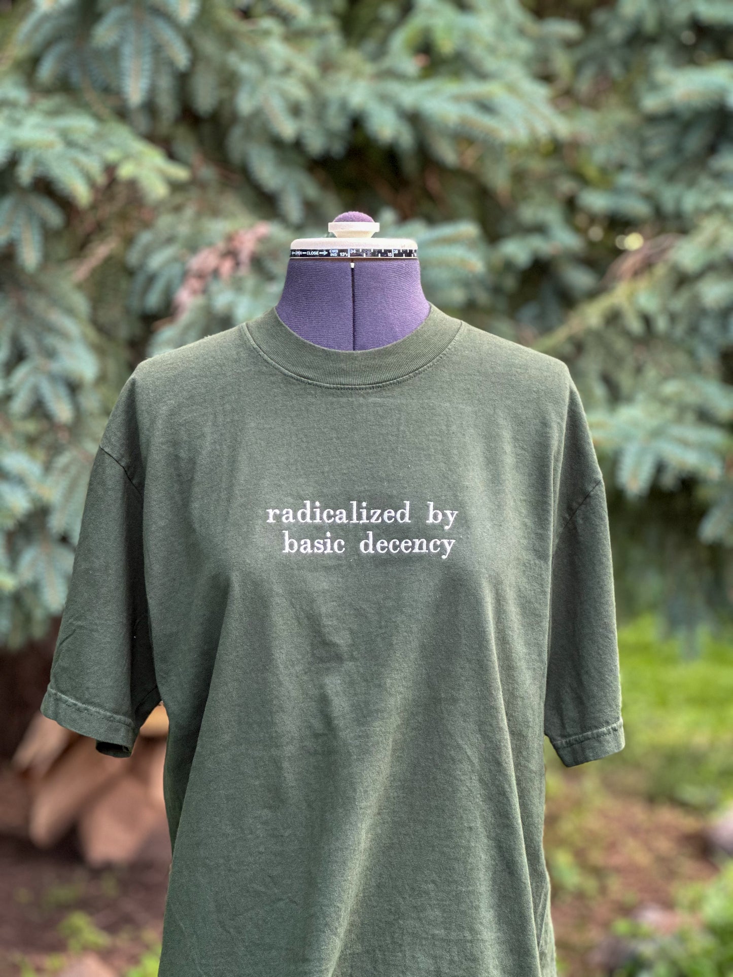 Radicalized By Basic Decency Embroidered Tshirt